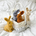 Plush Bunny Crochet PDF